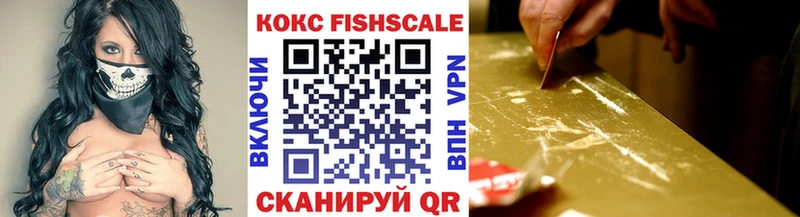 Кокаин Fish Scale  Купить  Болохово 